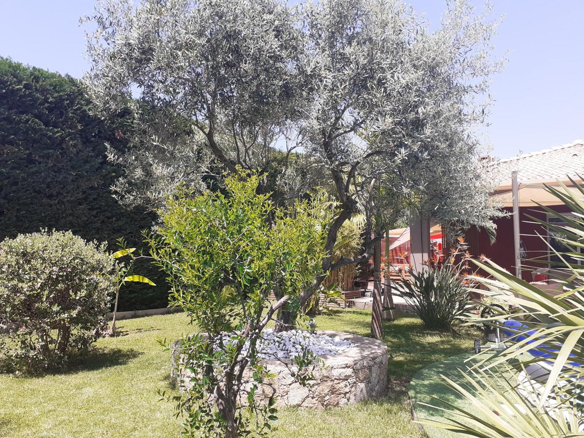 Chambre D'Hotes Casa Lucia Furiani Dış mekan fotoğraf